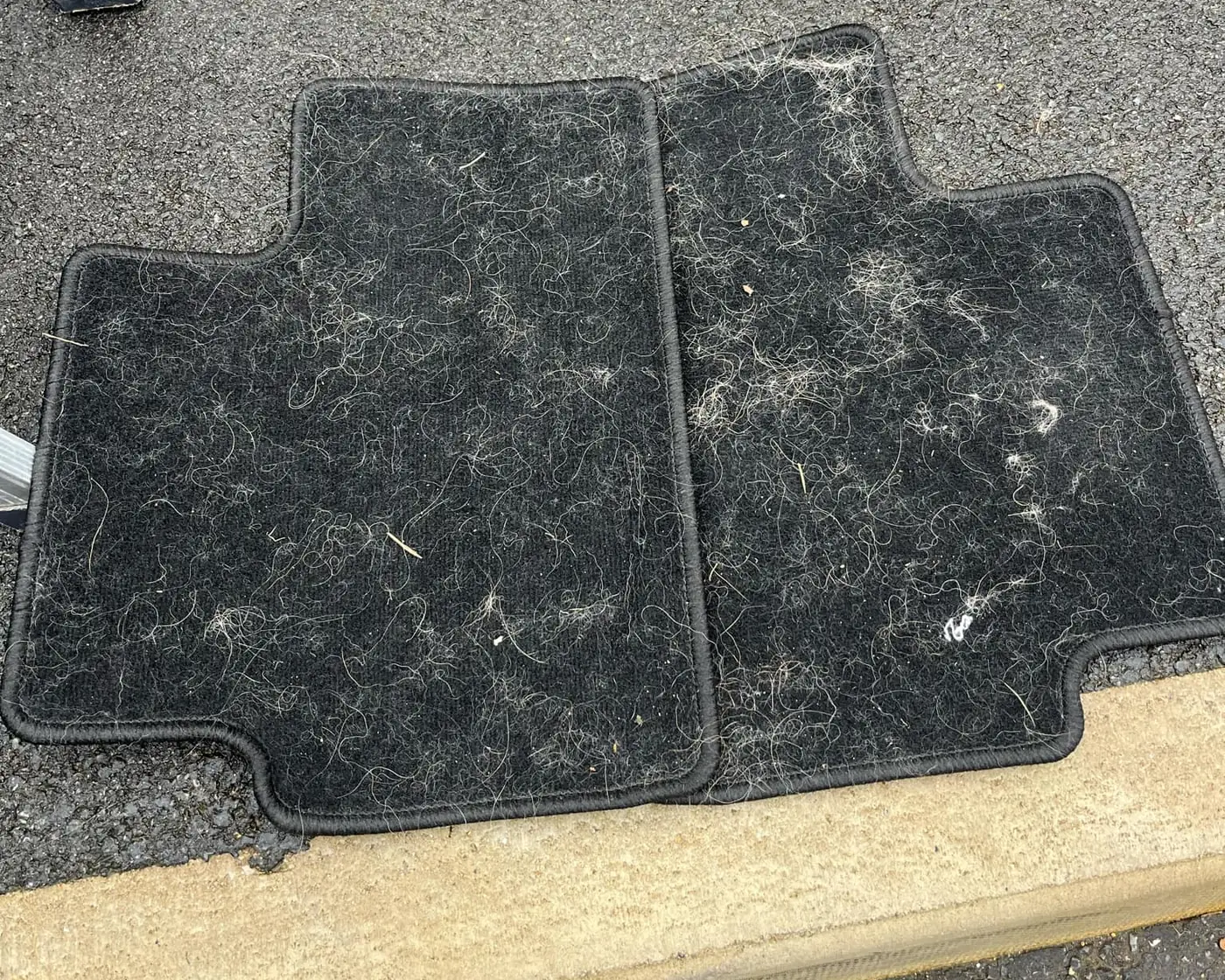 Car mats covered in dog hair before cleaning